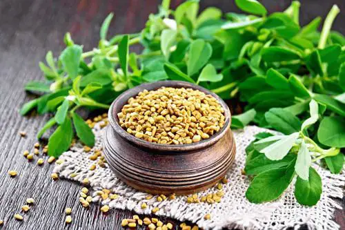 Herbs You Can Grow from Spice Rack 2