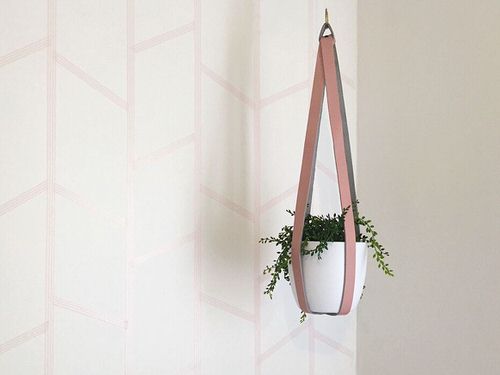 Hacks to Hang Plants Without Damaging Your Ceiling or Wall