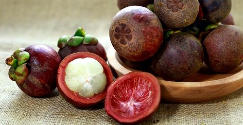 How to Grow Mangosteen Tree