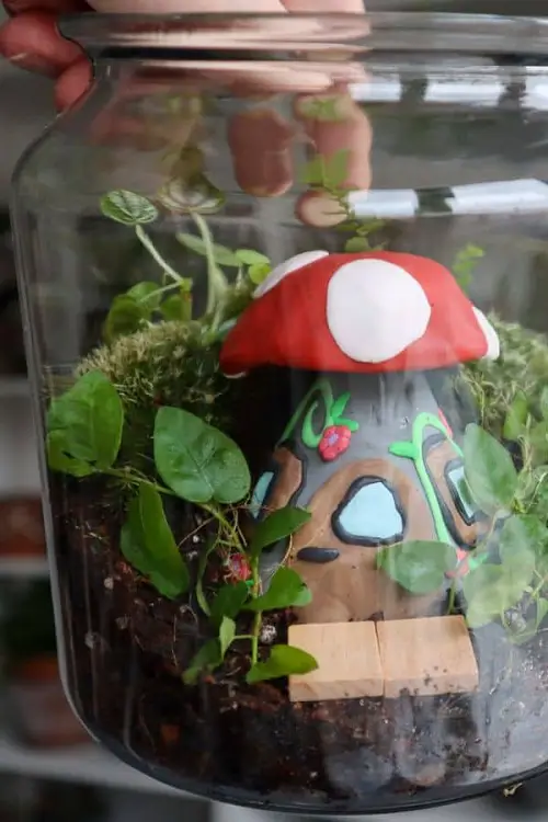 Fairy Garden Terrarium