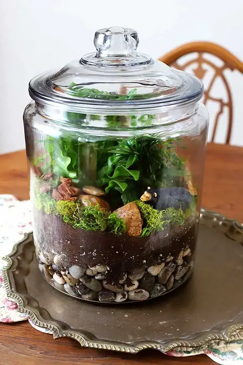 DIY Woodland Terrarium