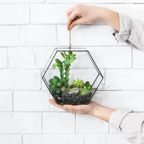 best Hanging Terrarium