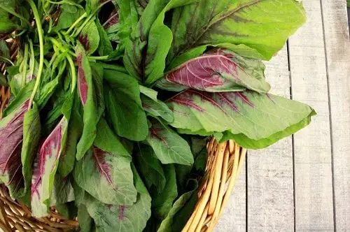 Best African Vegetables 2