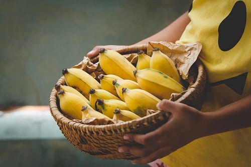 Do Bananas Grow on Trees or Bushes 2