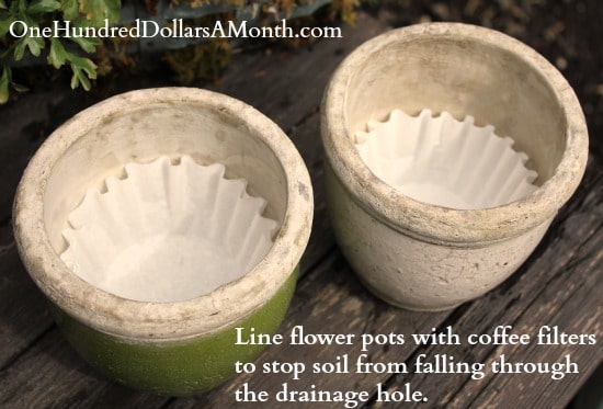 Smart Gardening Hacks For Beginners 5