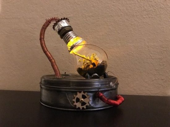 Small Lightbulb Terrarium