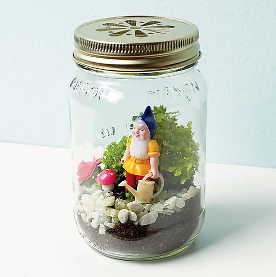 Gnome Garden Terrarium