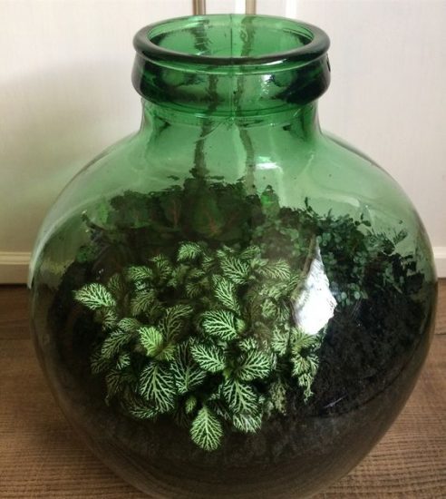 Green Glass Jar Planter