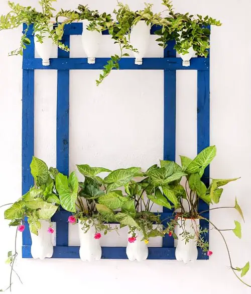Growing Herbs in Plastic Bottles 8