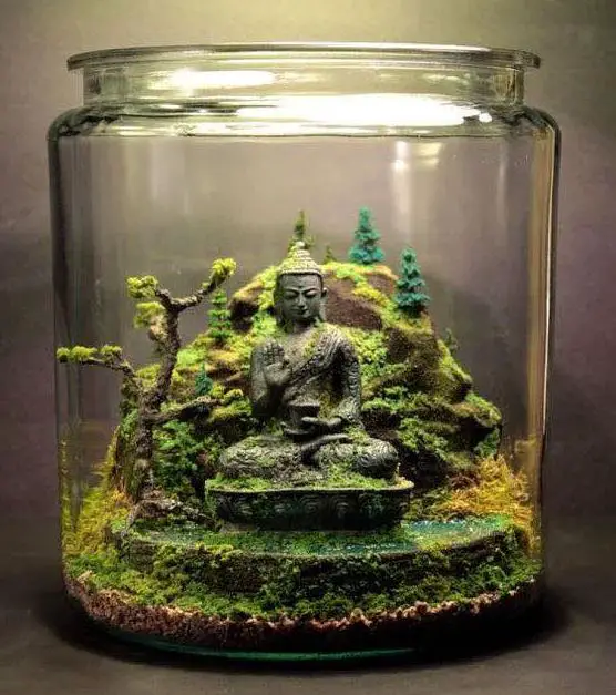 Spiritual Buddha Terrarium