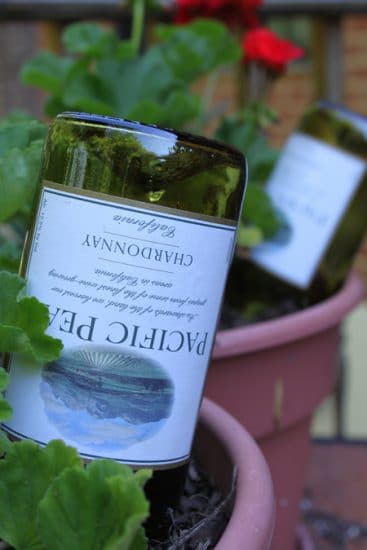 Smart Gardening Hacks For Beginners 8
