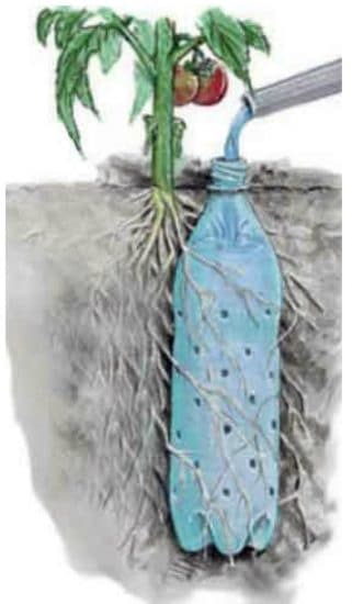 Smart Gardening Hacks For Beginners 9