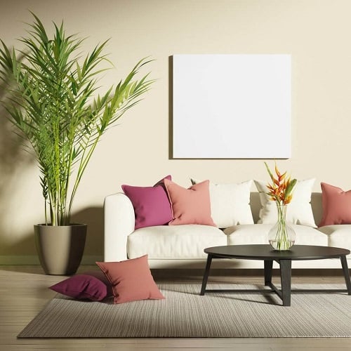 Most Oxygen Producing Houseplants