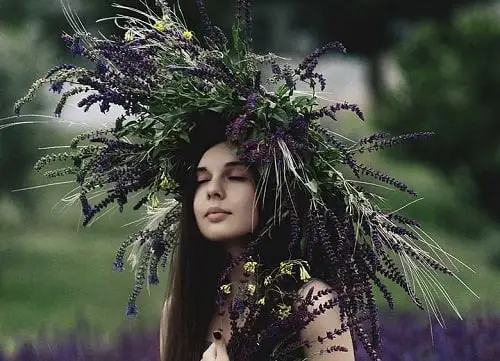Best Herbs for Women 