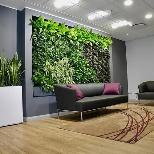 Best Selfie Plants to Grow Indoors 2