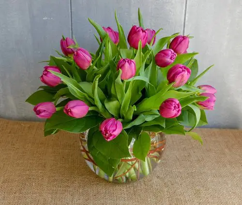 Best Happy Birthday Flowers 2