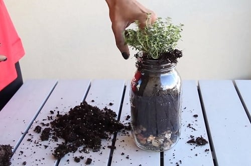 DIY Mason Jar Herb Garden 3