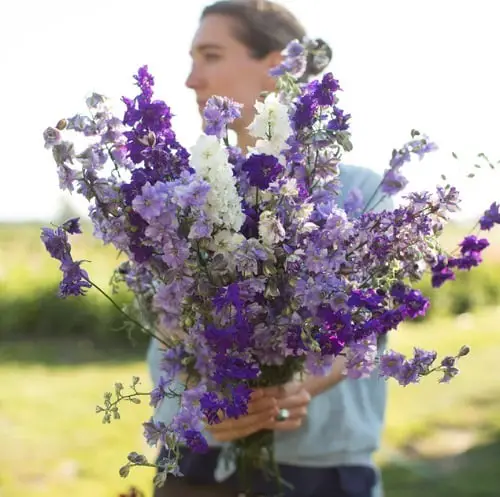 Best Happy Birthday Flowers 4