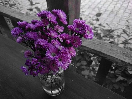 Best Happy Birthday Flowers 5