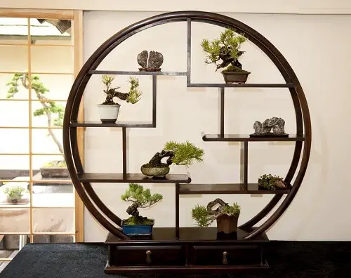 Best Selfie Plants to Grow Indoors 5