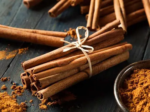 Can Dogs Eat Cinnamon