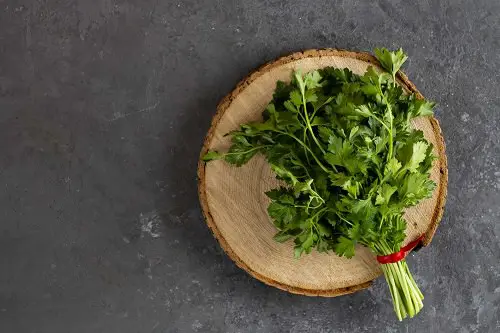 Cilantro vs Culantro