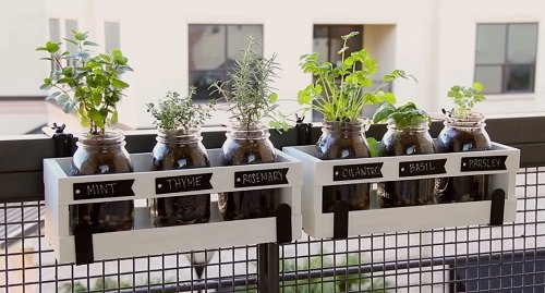DIY Mason Jar Herb Garden