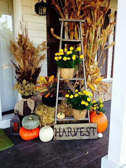 Plant Ladder by the Front Door
