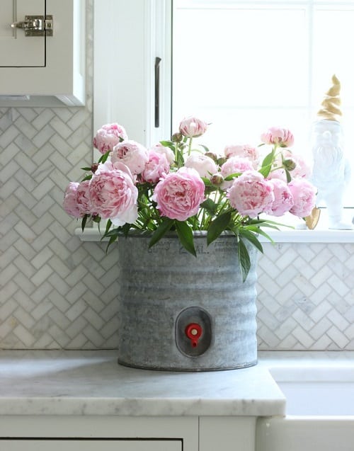 Vastu Plants for Home 6