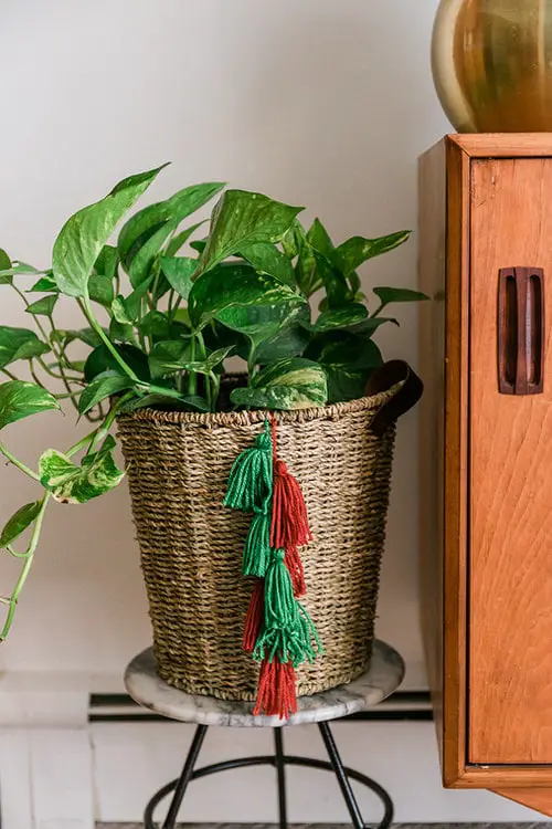 DIY Boho Planter 5