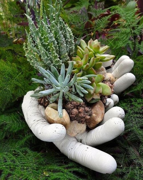 DIY Succulent Planter Ideas 5