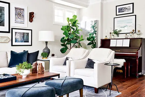 Fiddle Leaf Fig Decor Ideas 7