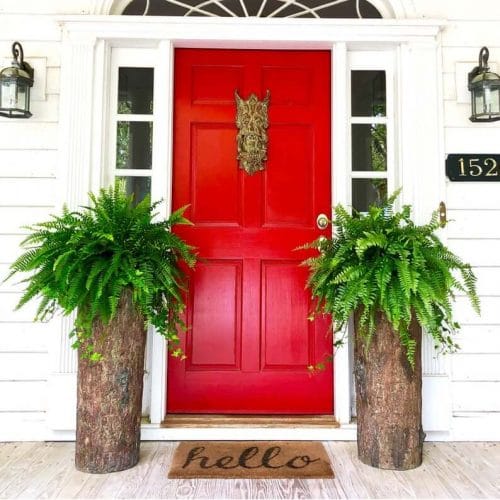 Outdoor Tall Planters on front door