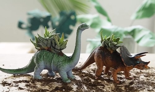 DIY Succulent Planter Ideas 9
