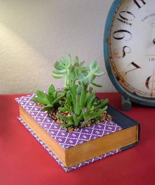 DIY Succulent Planter Ideas 12