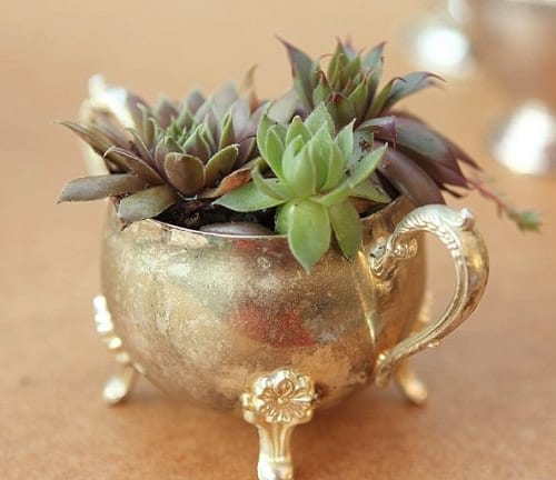 DIY Succulent Planter Ideas 43