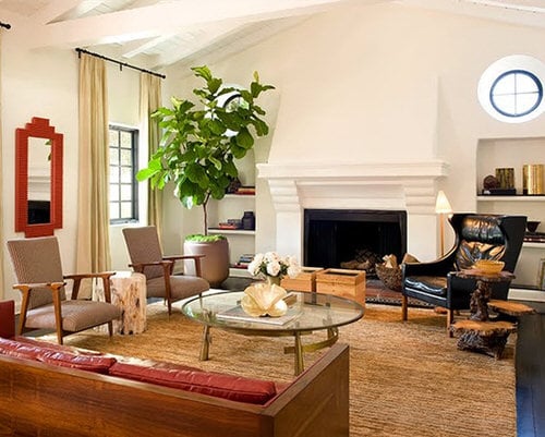 Indoor Fiddle Leaf Fig Decor Ideas 21