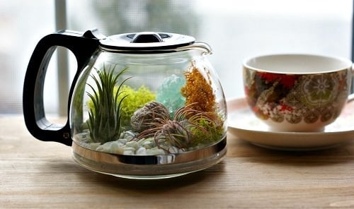 DIY Succulent Planter Ideas 15