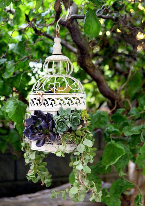 DIY Succulent Planter Ideas 17