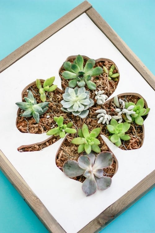 DIY Succulent Planter Ideas 21