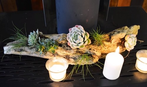 DIY Succulent Planter Ideas 2