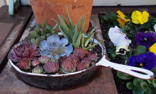 DIY Succulent Planter Ideas 27