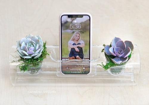 DIY Succulent Planter Ideas 34
