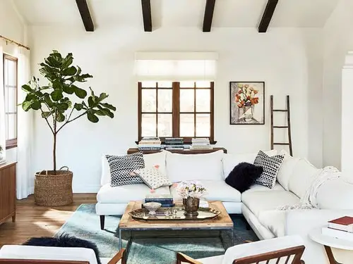 Fiddle Leaf Fig Decor Ideas 4
