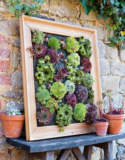 DIY Succulent Planter Ideas 4
