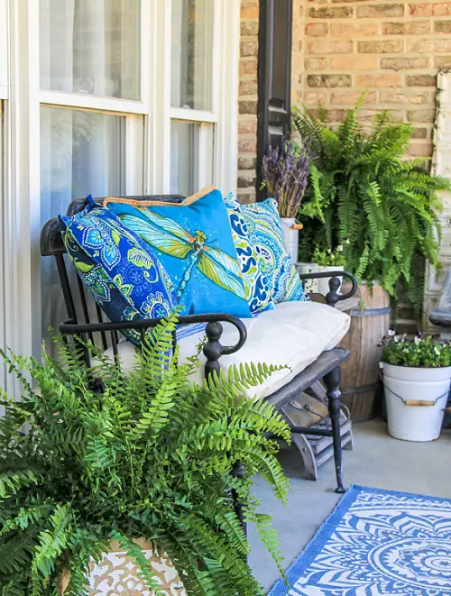 Ferns and Bright Upholstery