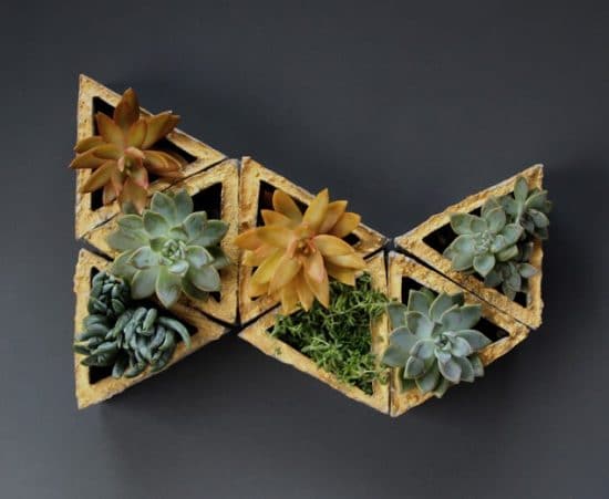 Indoor Succulent Combination Ideas 8