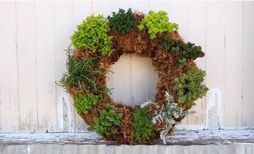 DIY Herb Garden 2