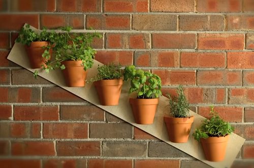 DIY Herb Garden 3