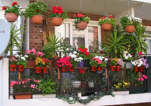 Hanging Planter Ideas for Your Balcony 14